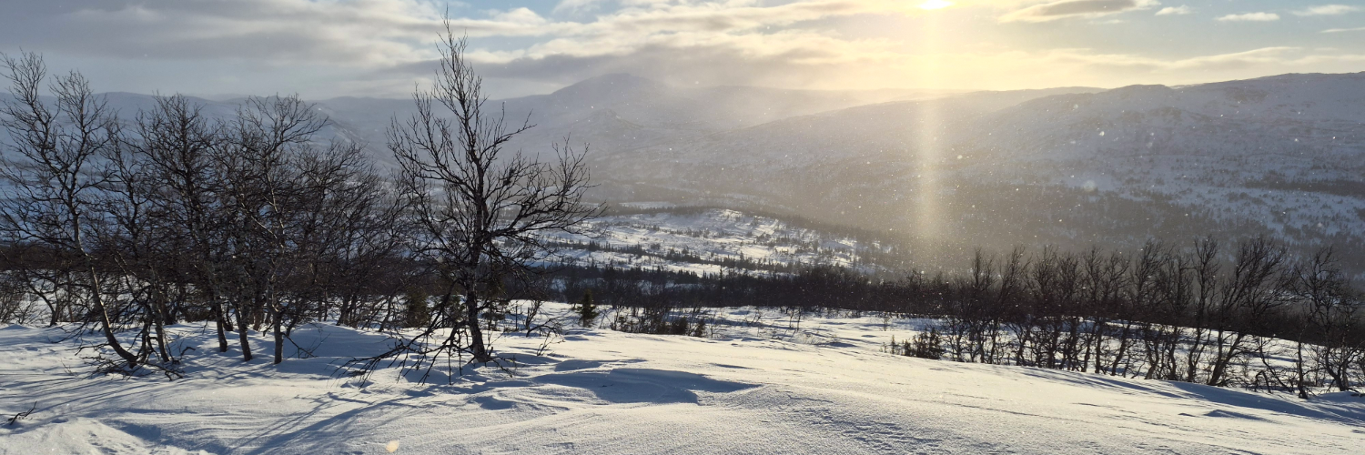 Midtre Gauldal kommune